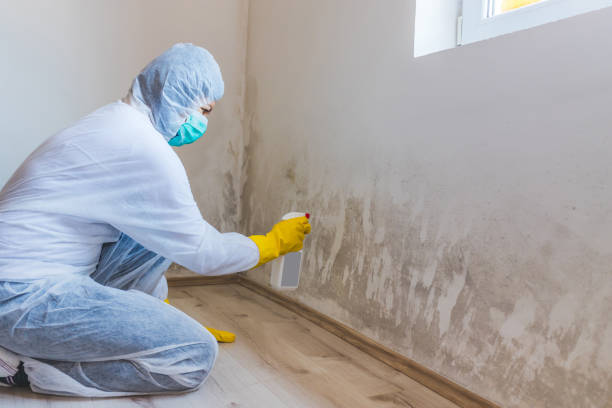 Hvac And Air Duct Mold Remediation inspection of HVAC system in Kempton