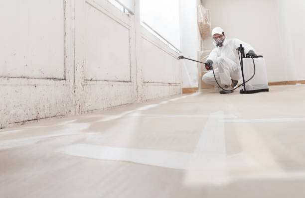 Post-remediation clearance in Kempton